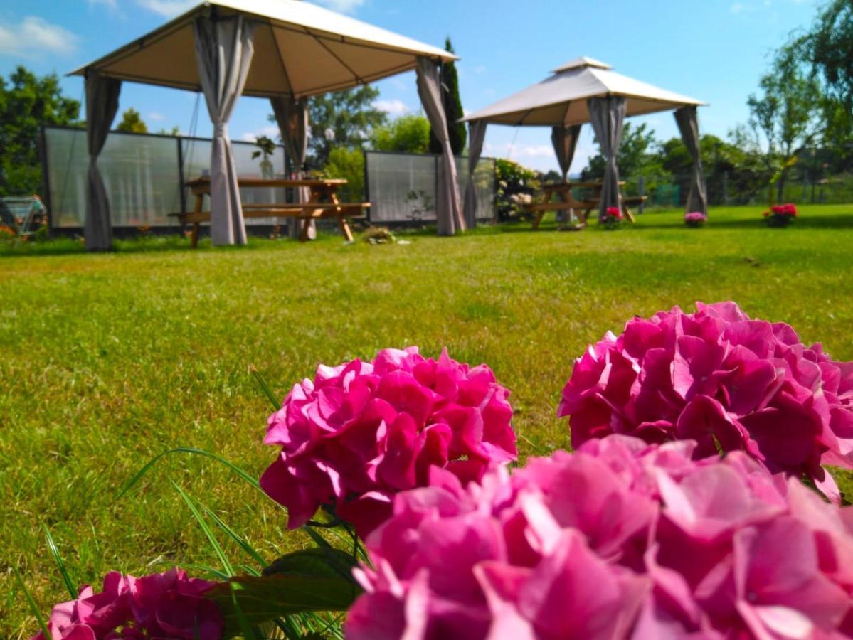 Casa Pepin - Sagasta Rural Oviedo Guest House Exterior photo